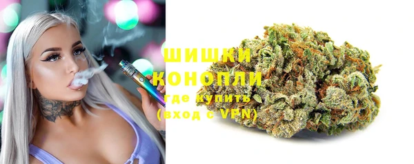 СК Аркадак