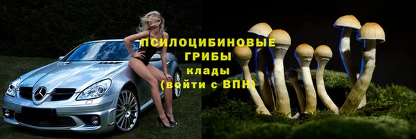 СК Аркадак