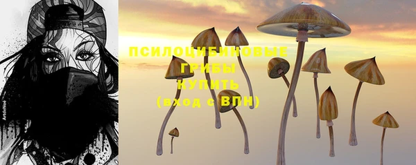 круглые Армянск