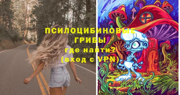 метадон Арсеньев