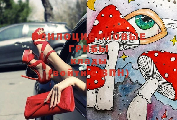 круглые Армянск