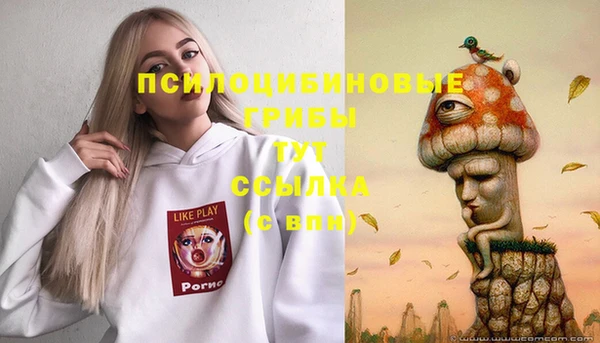 СК Аркадак