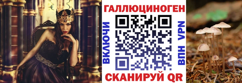 Псилоцибиновые грибы Cubensis Пыть-Ях